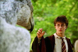 harry 